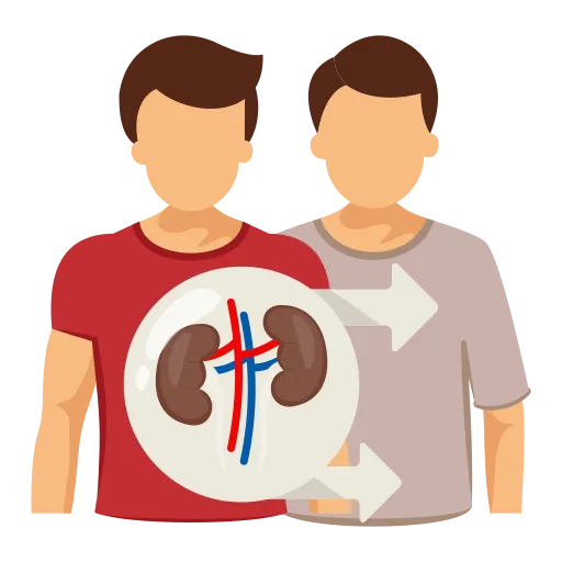 Kidney Transplants