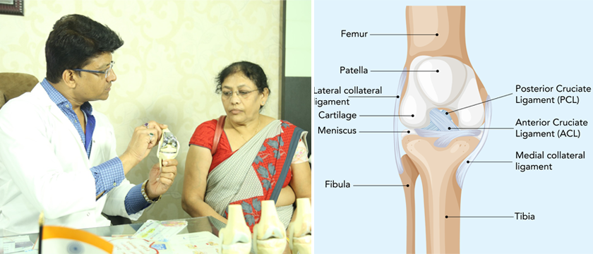 Joint Replacement Surgeon in Gobranawapara