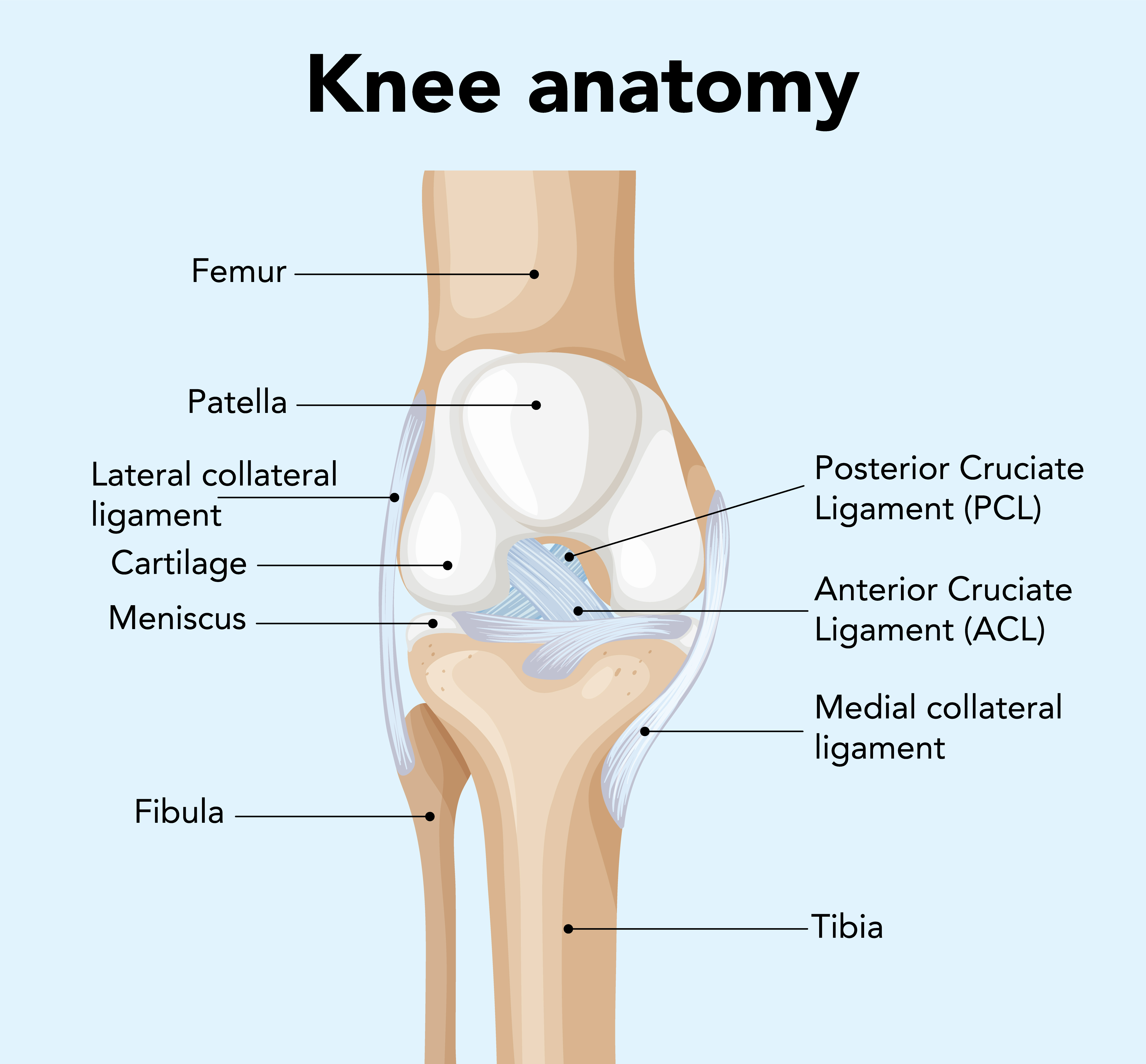 Joint Replacement Surgeon in Gobranawapara